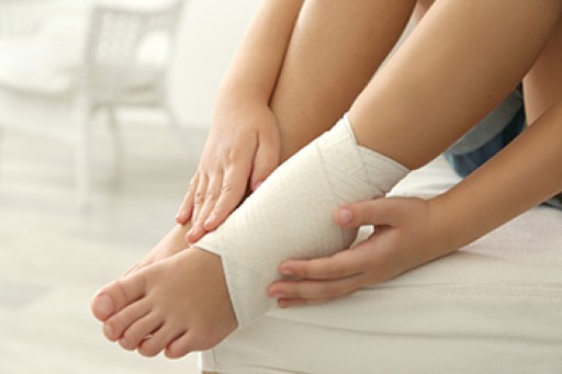 Function and Injuries of the Ankle Joint