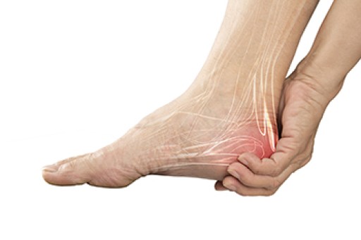 Heel Pain